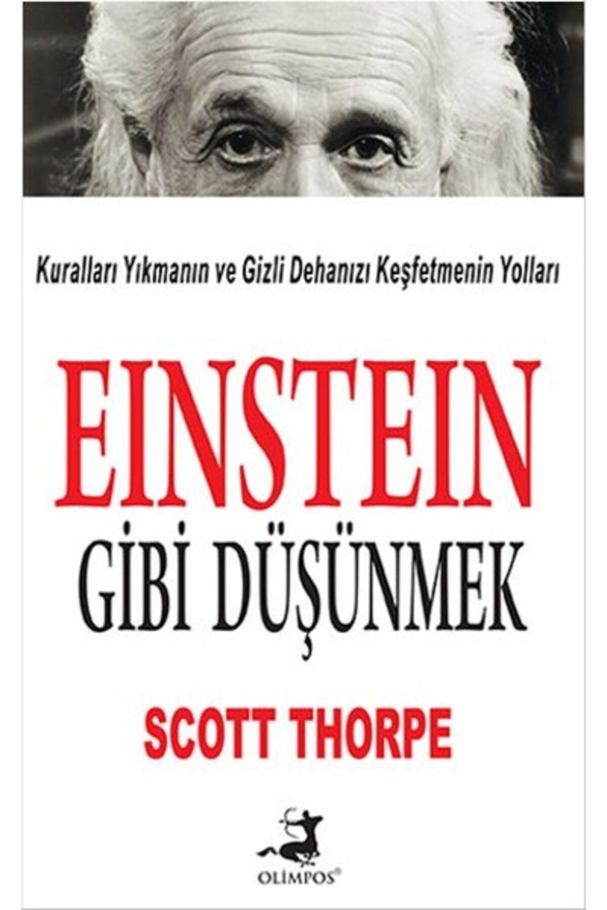 Destek Yayınları Einstein Gibi Düşünmek