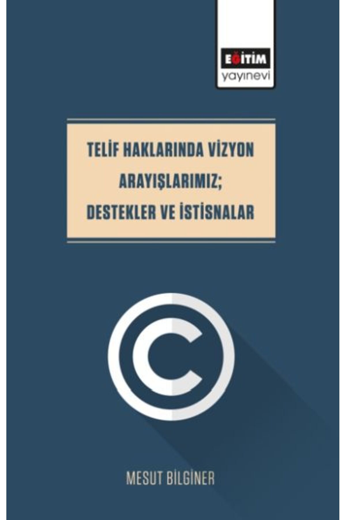 Destek Yayınları Telif Haklarında Vizyon Arayışlarımız; Destekler Ve İstisnalar