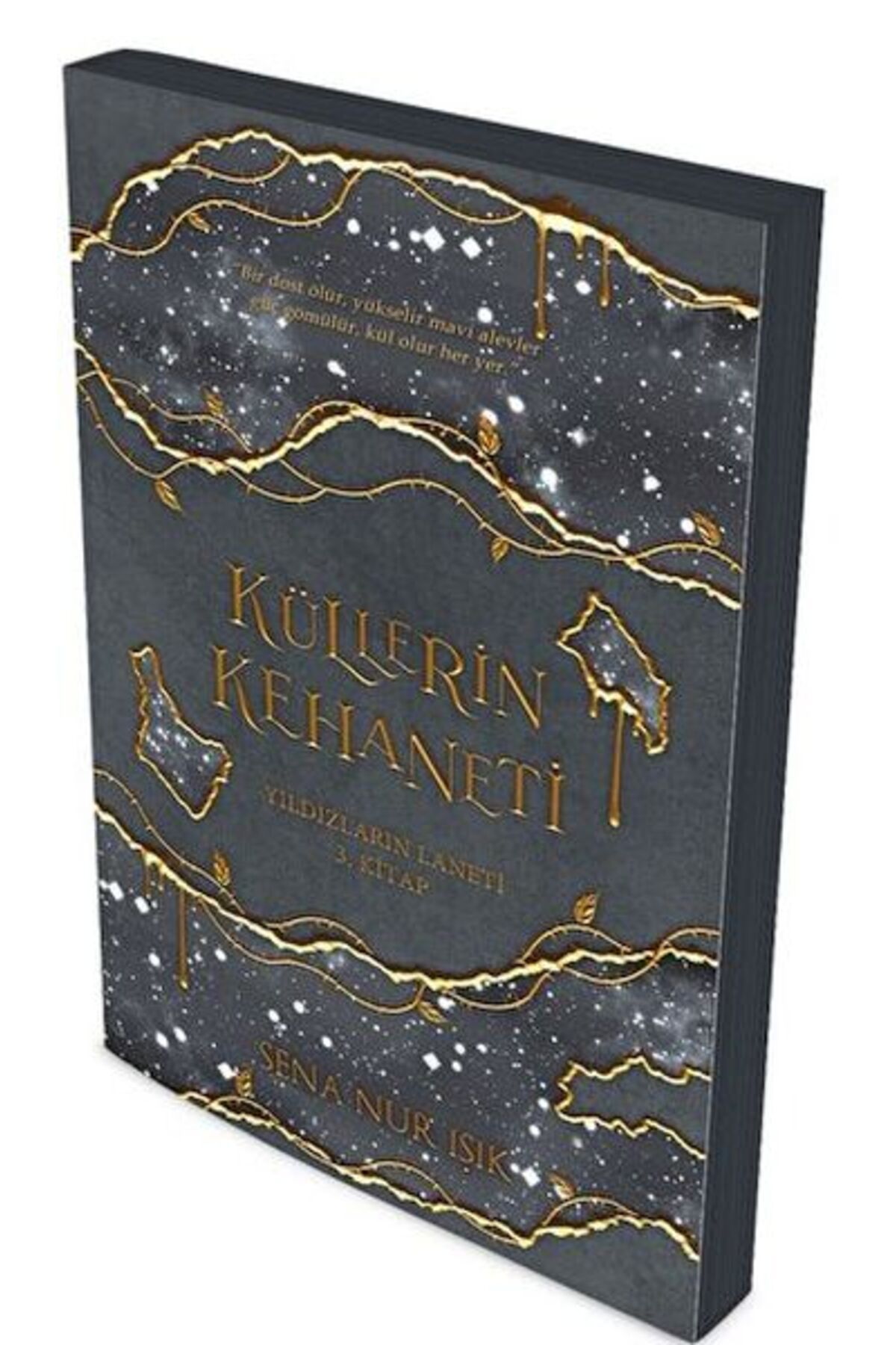 Destek Yayınları Küllerin Kehaneti: Yıldızların Laneti 3. Kitap