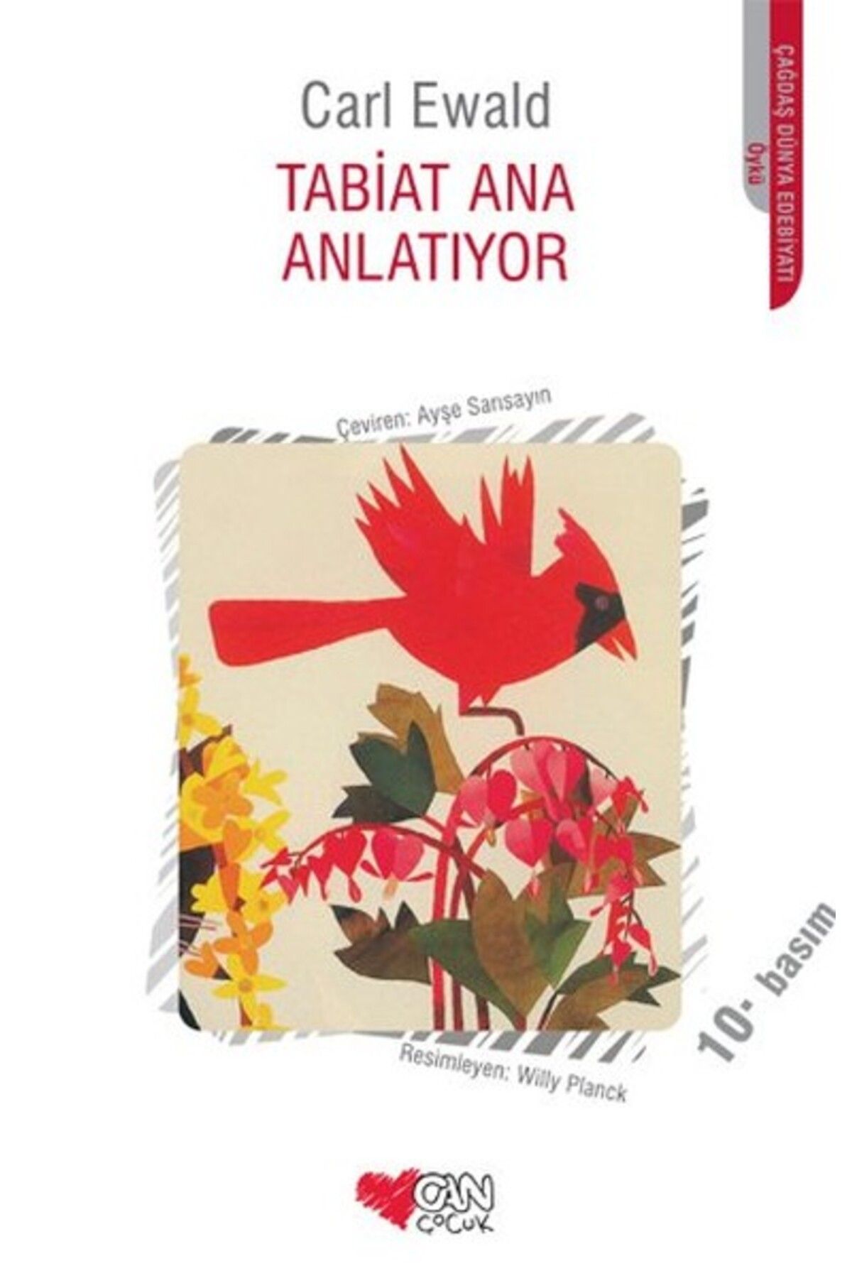Destek Yayınları Tabiat Ana Anlatıyor
