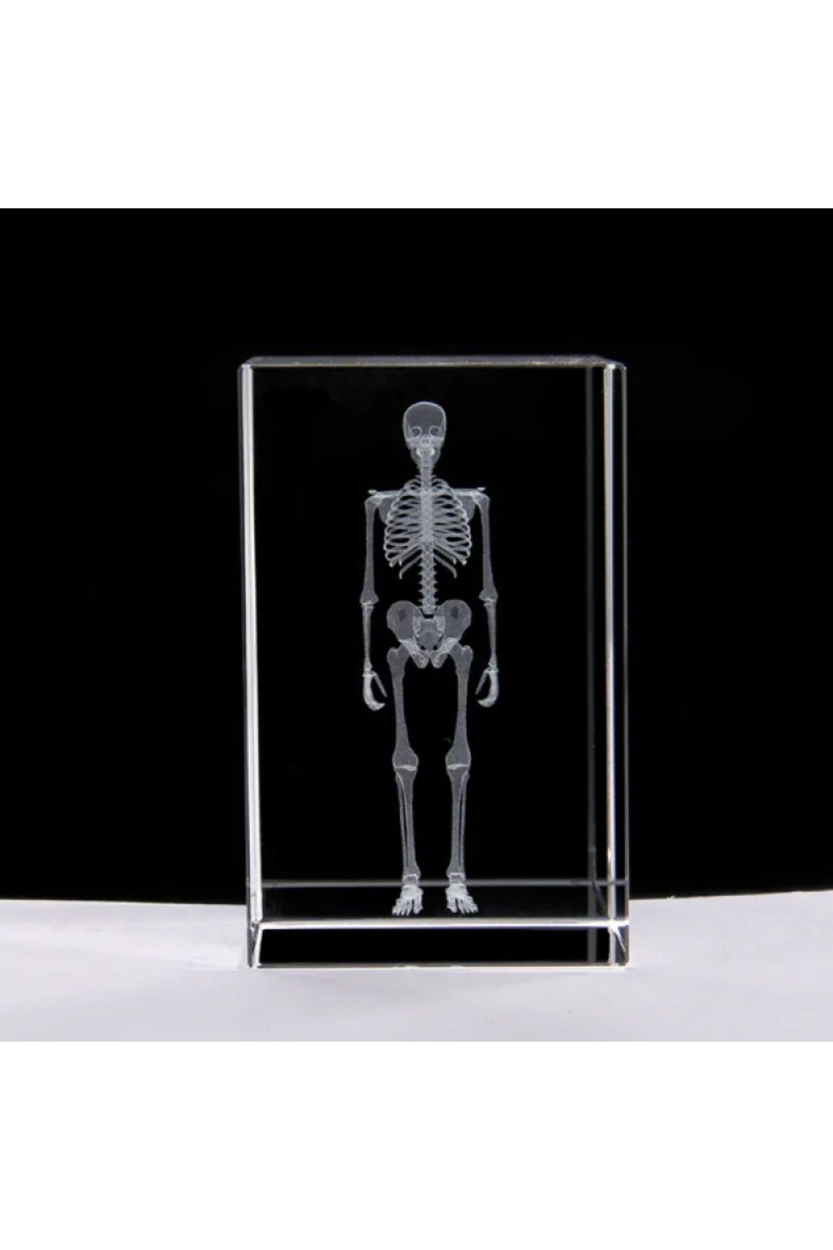 TTT 3D Kristal İnsan İskeleti Modeli