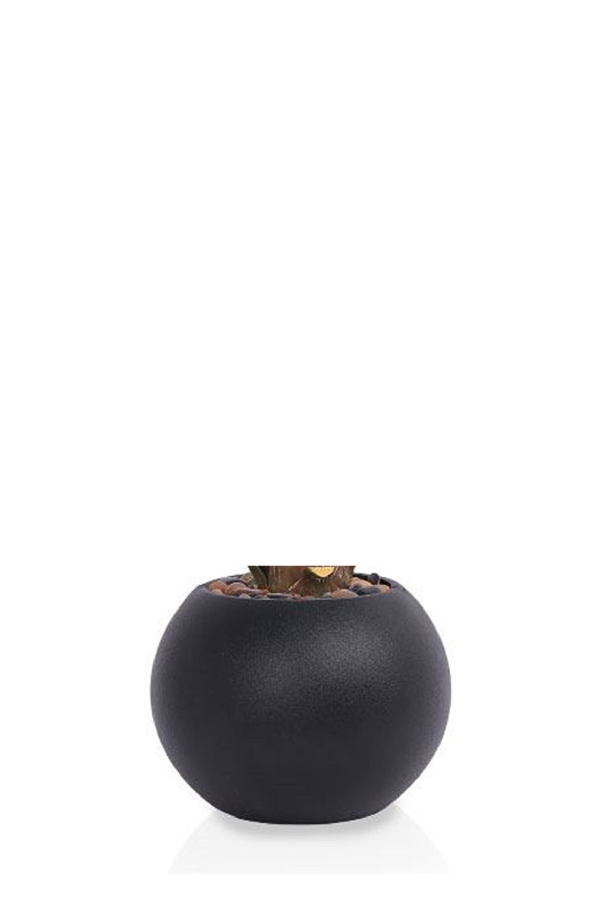 Generic-Areca tree (7 branches) in a round plastic container 3