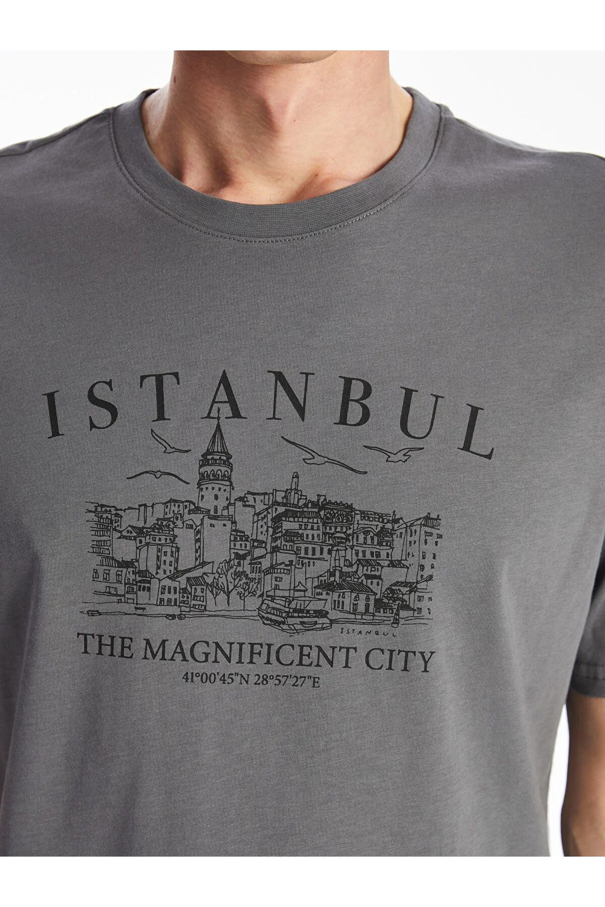 LC Waikiki Bisiklet Yaka Kısa Kollu İstanbul Baskılı Penye Erkek Tişört