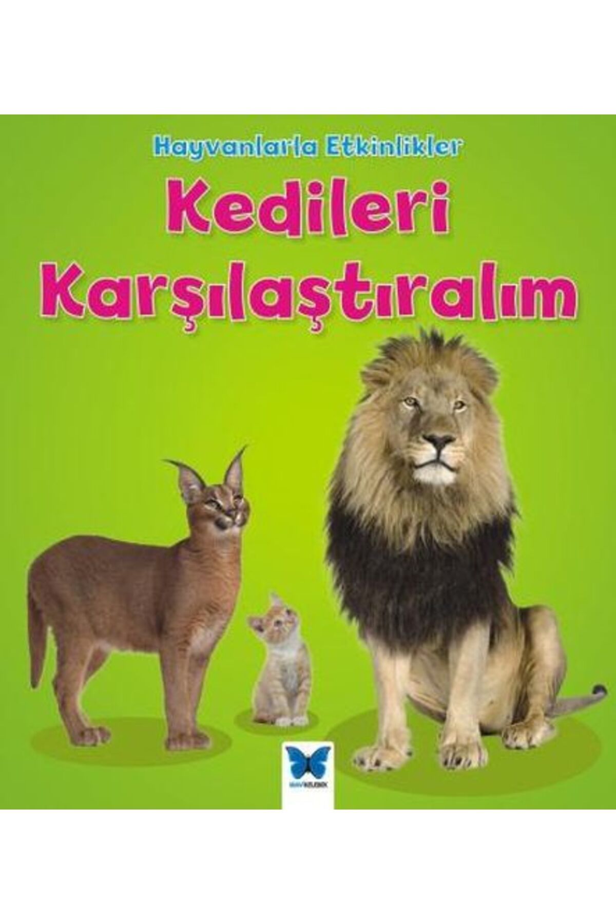 Türk Dil Kurumu Yayınları Hayvanlarla Etkinlikler - Kedileri Karşılaştıralım