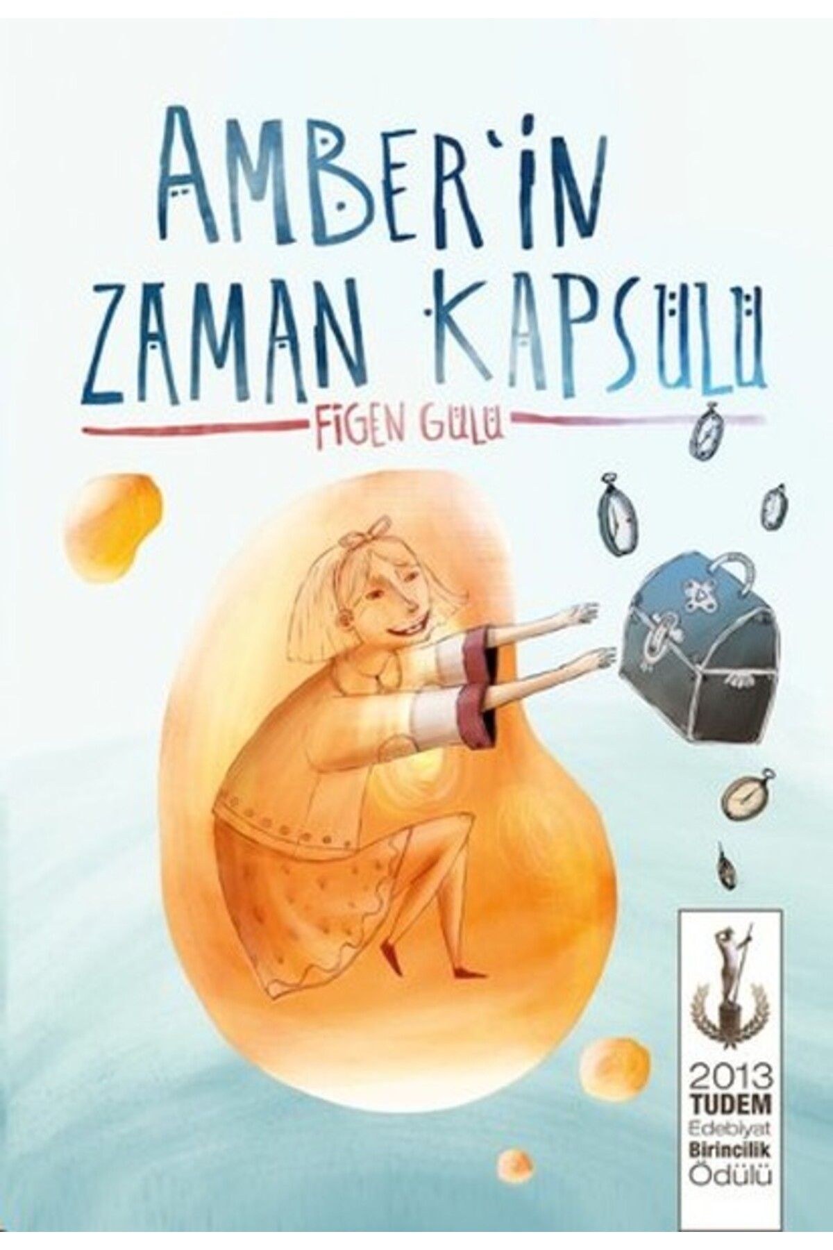 Destek Yayınları Amberin Zaman Kapsülü