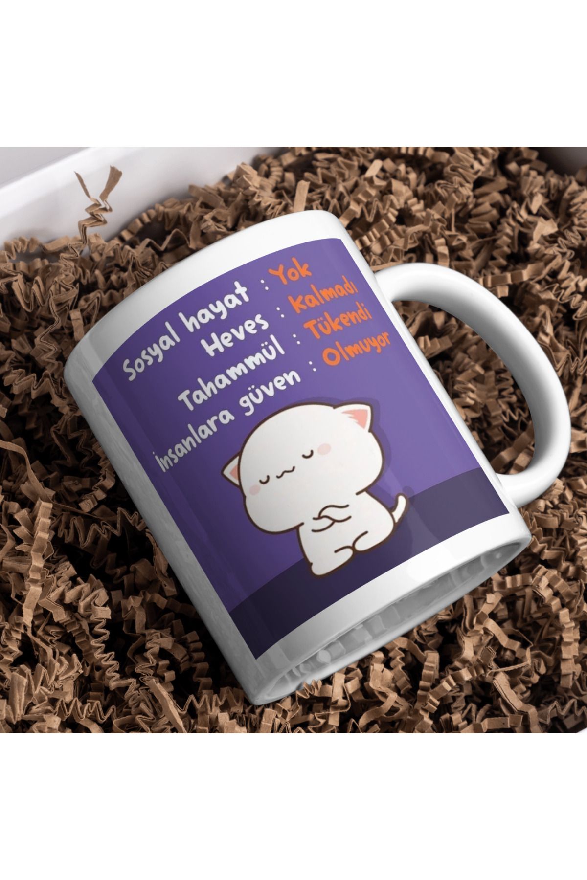 ABC Sosyal hayat yok yazılı komik paylaşımlı kupa mug bardak