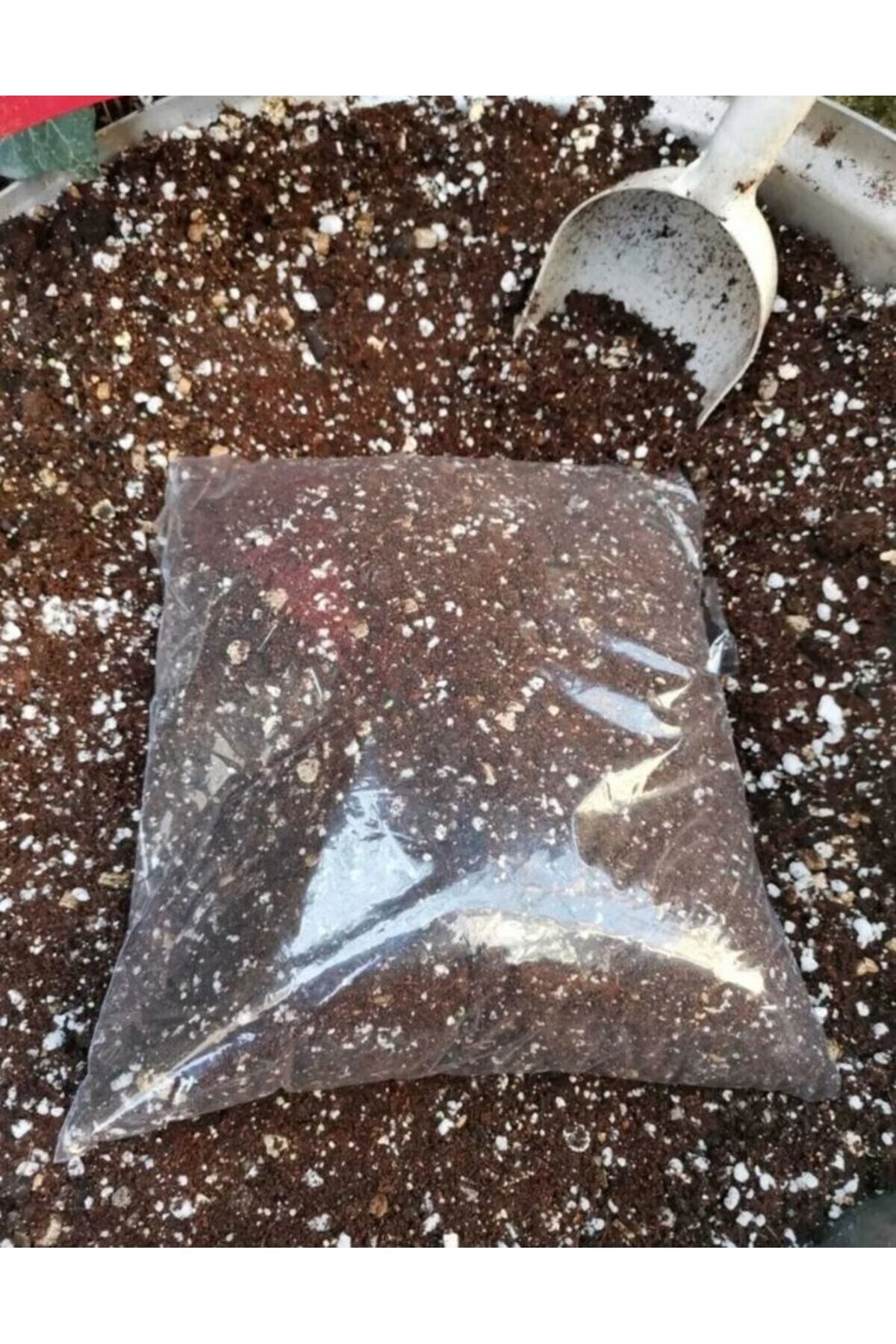 AKSARAY TOHUMCULUK Kaktüs Toprağı 10 Litre Toprak- Böcek Sinek Yapmayan Özel Karışımlı