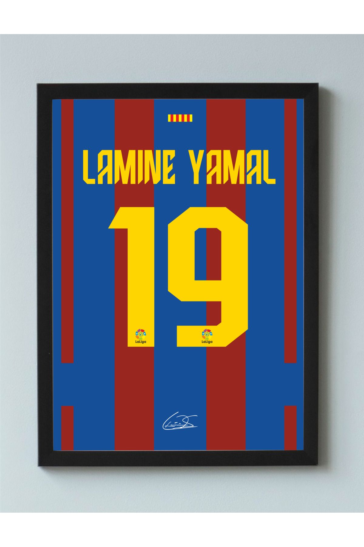Erdizayn 30x40 cm Lamine Yamal Forma Tasarımlı Poster Tablo 1 mm Şeffaf PVC Korumalı ve Çerçeveli