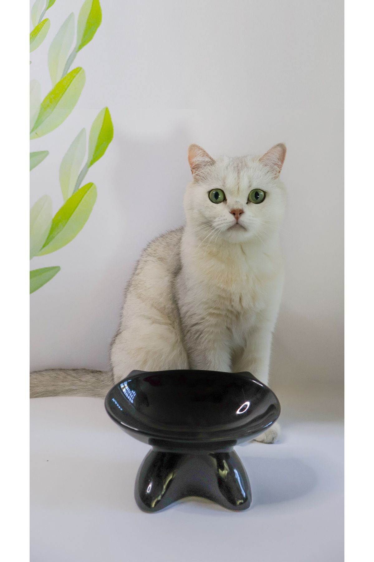 TAMER YİĞİT Özel Tasarım Kedi Maması Kabı 1.Kalite Seramik Siyah 2 Adet