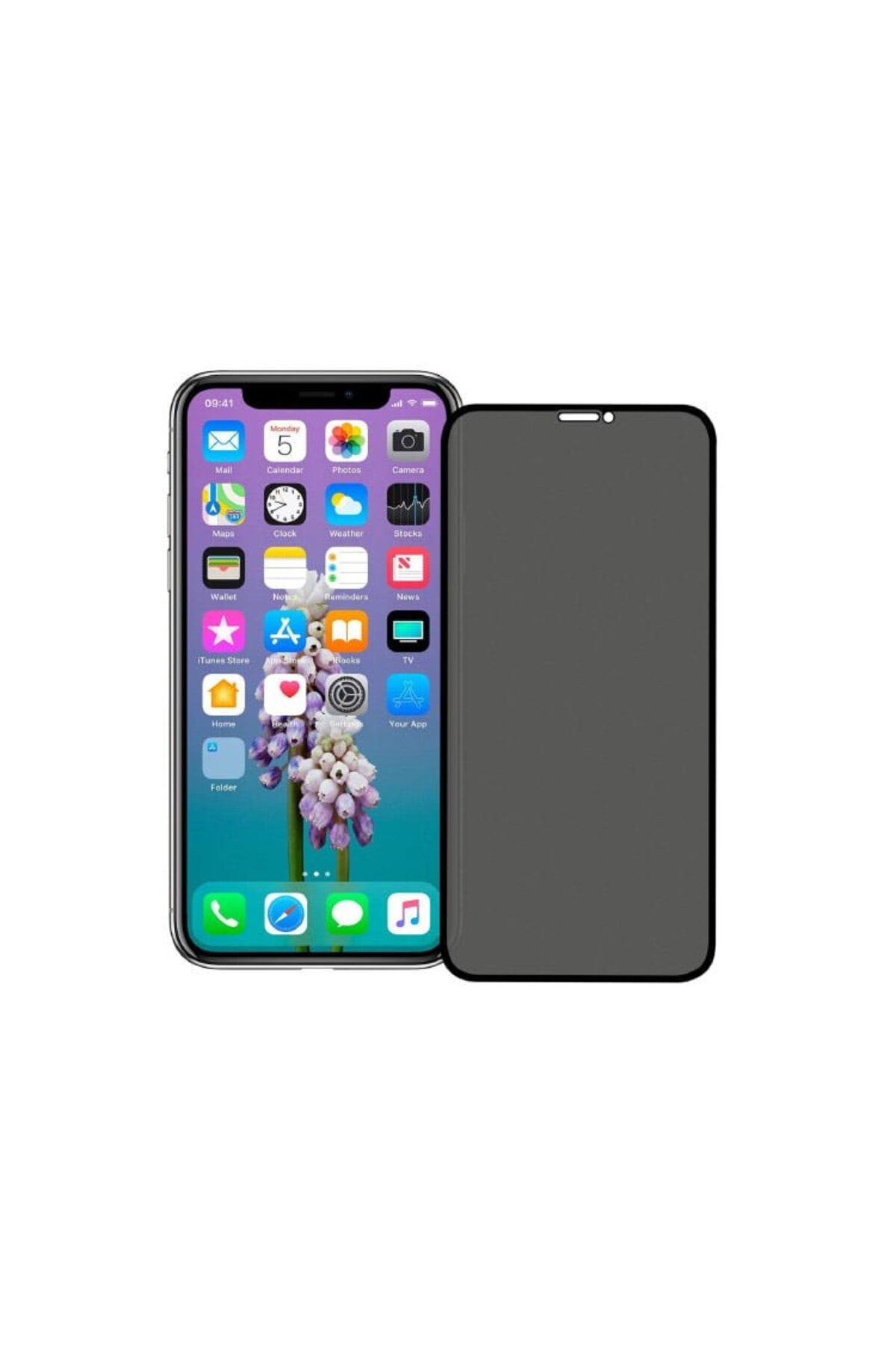 REDz Accessories Folie De Sticlă, Sticlă Intimă, Compatibilă Cu Iphone 12 Pro Max - One Size