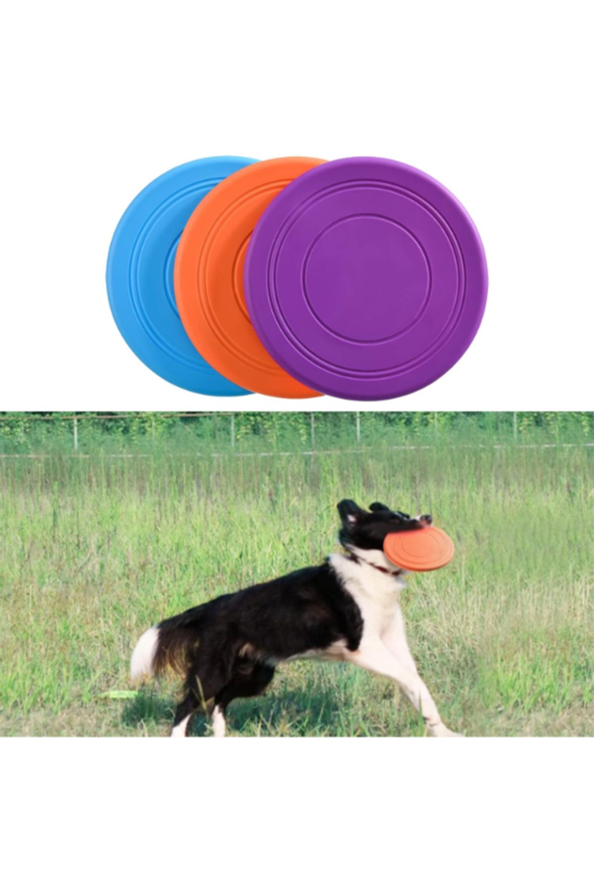 TTT Silikon Frizbi Köpek Oyuncağı