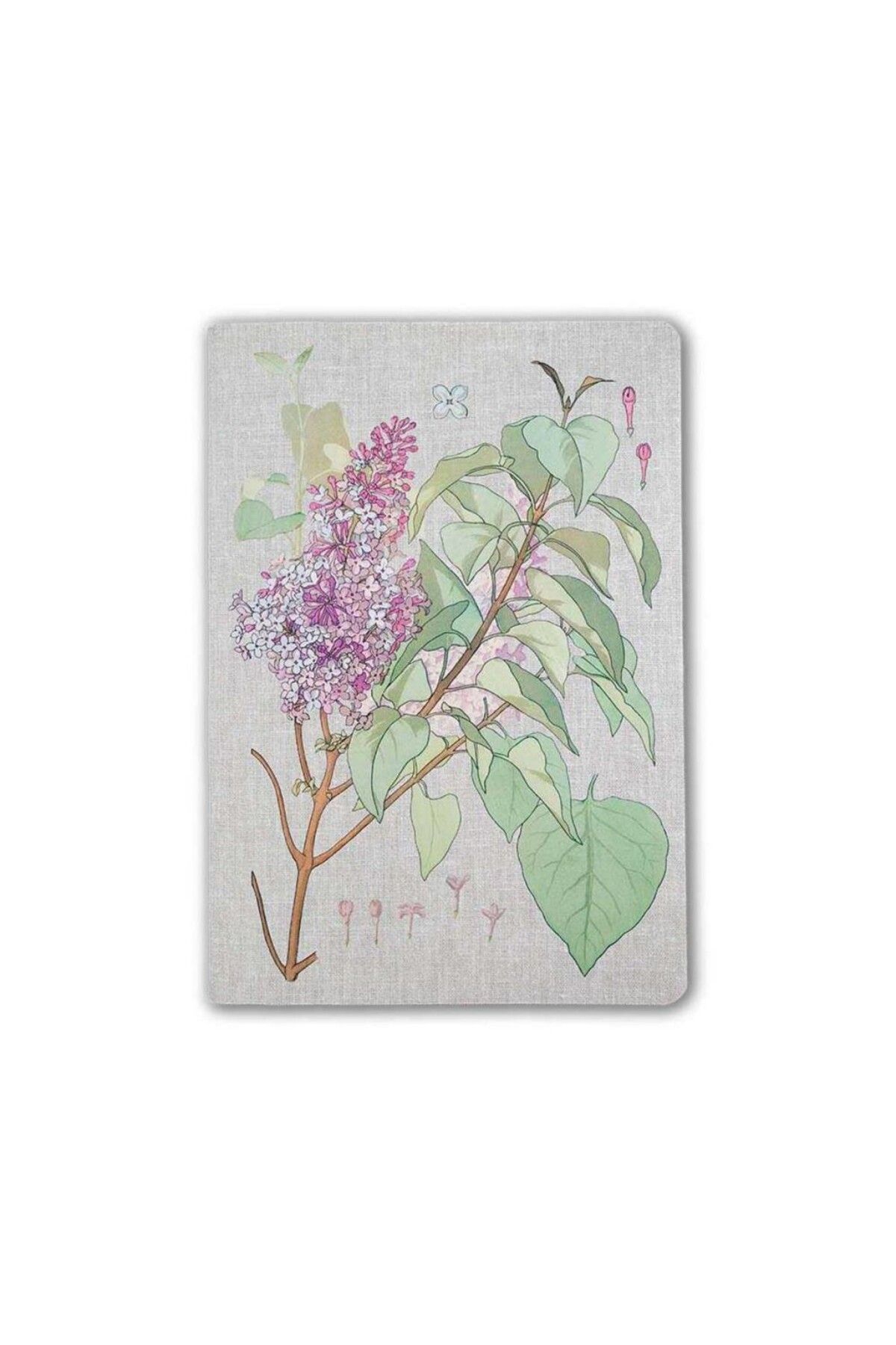 MUUS Plante Lilac 16,5x23,5 Çizgili Defter