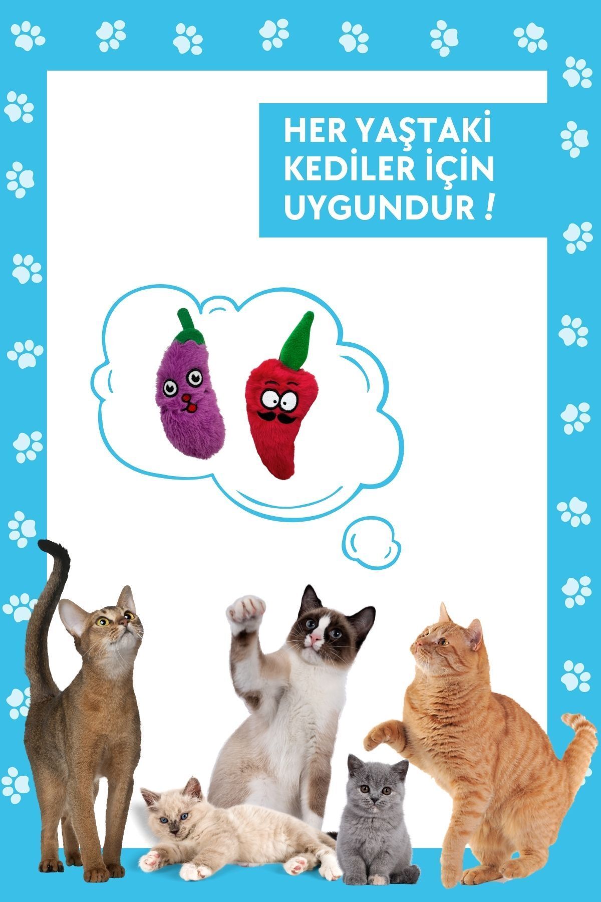 Miyav-Cat Toy Set with Rustling Sound (2 Pieces) – Plush Eggplant & Pepper Catnip Cat Toys 7