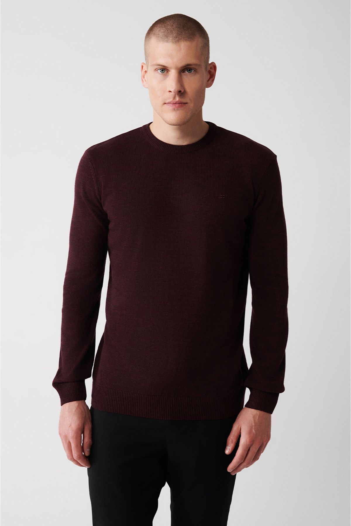 Avva-Men's Burgundy Crew Neck Non-Pilling Knitwear Sweater E 005000 3