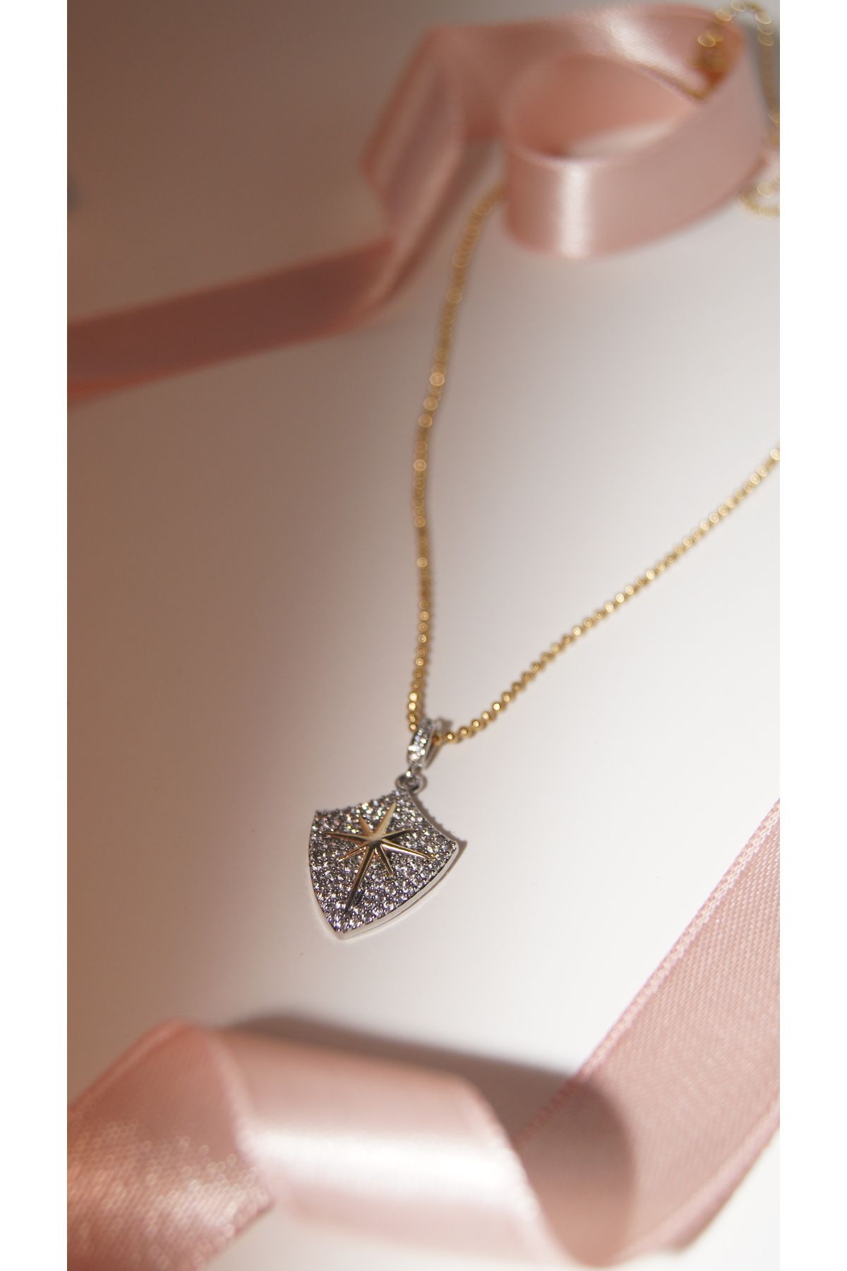 Fier Accessories Zirkon Taşlı Kalkan Kolye