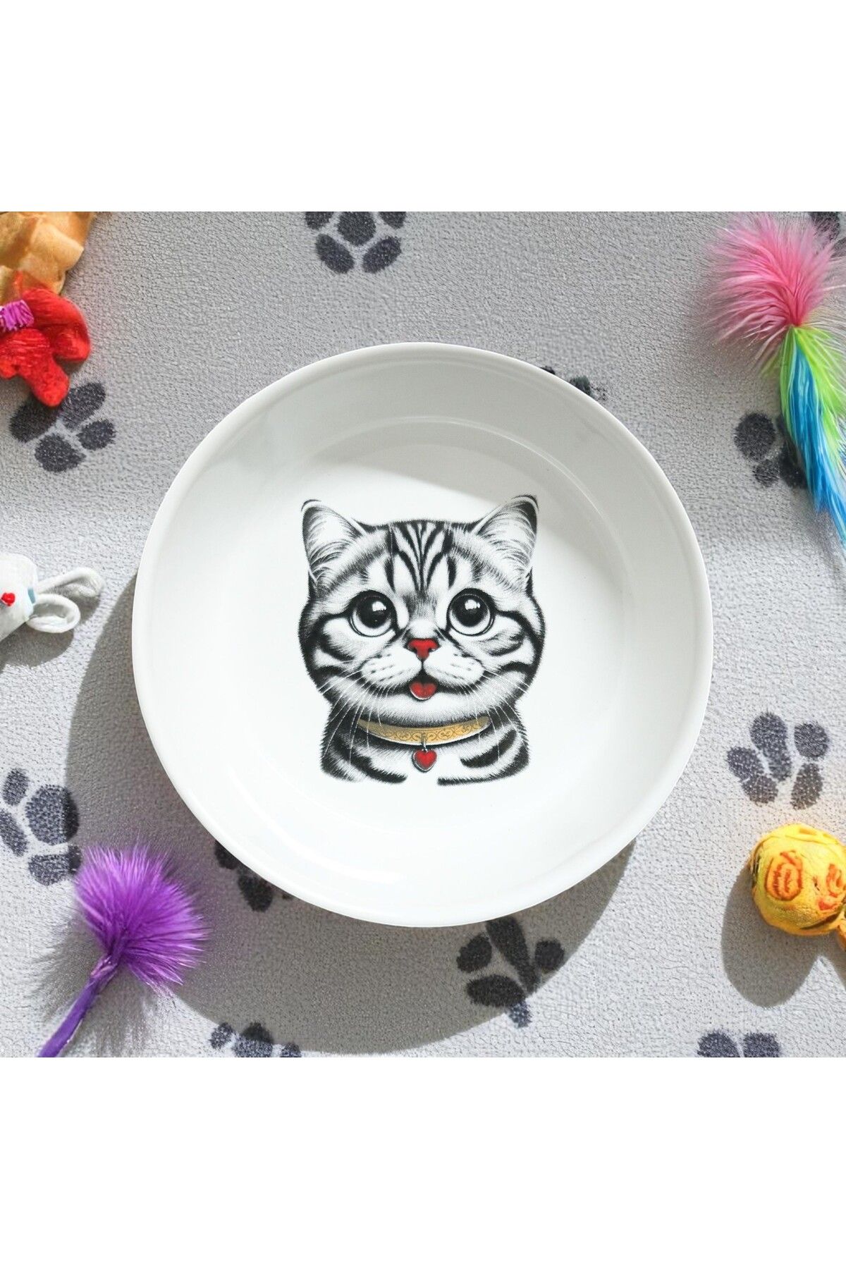 pet bowl Seramik Mama ve Su Kapları Sevimli Özel Tasarım