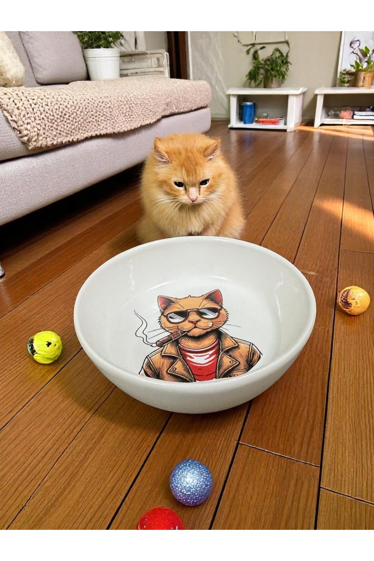 pet bowl Seramik Mama ve Su Kapları Sevimli Özel Tasarım