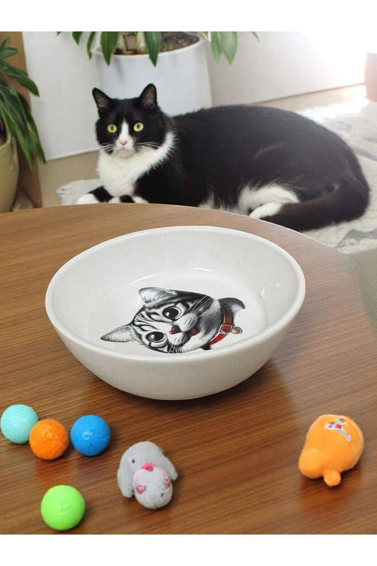 pet bowl Seramik Mama ve Su Kapları Sevimli Özel Tasarım