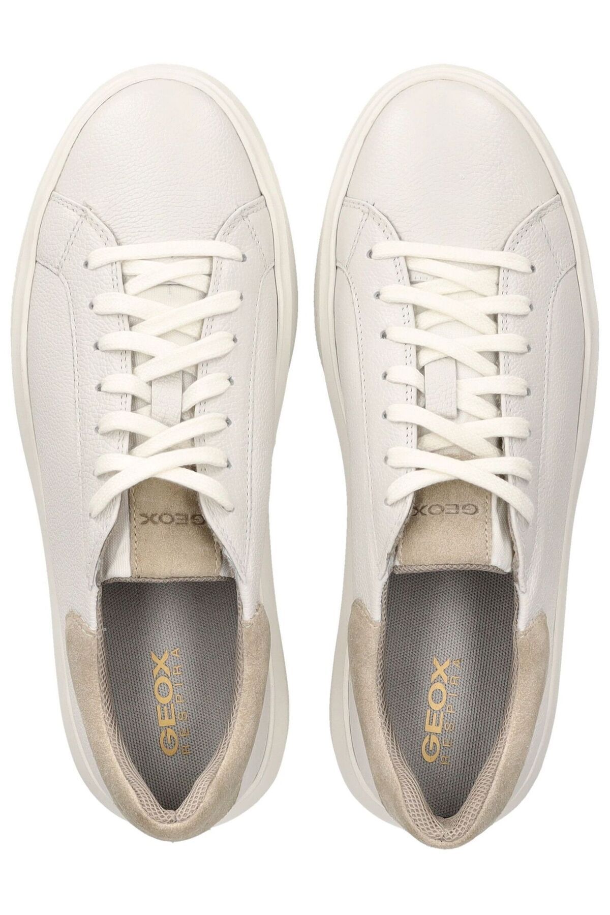 Geox-Sneaker 6