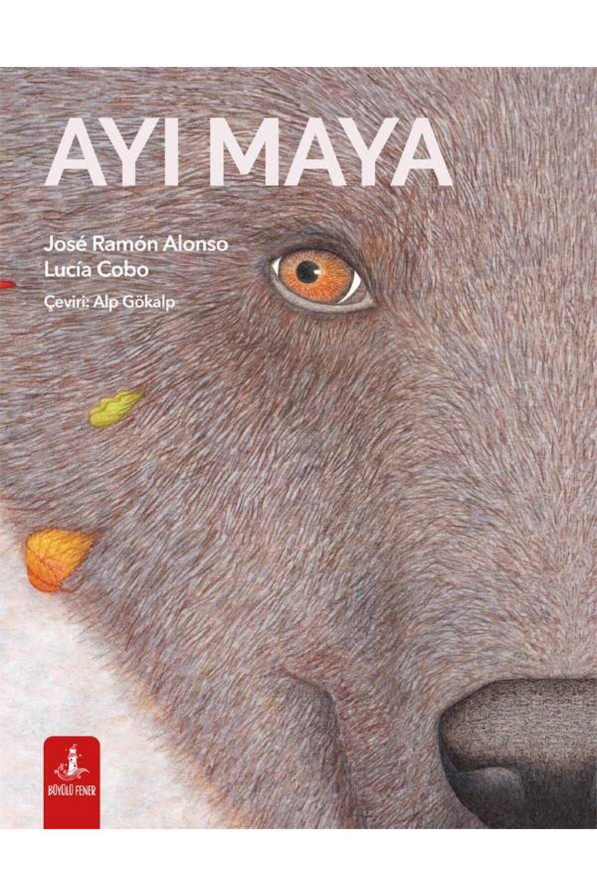 Büyülü Fener Yayınları Ayı Maya