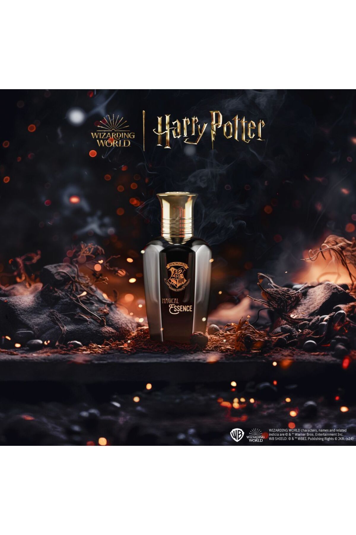 Harry Potter-Hogwarts Magical Essence Ambition Eau de Parfum for Men, Harry Potter Wizarding World, 50 ml 4