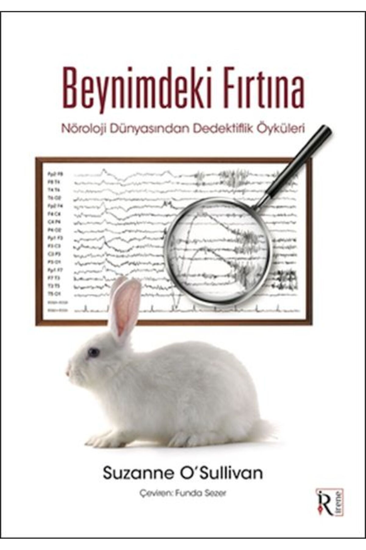 Destek Yayınları Beynimdeki Fırtına
