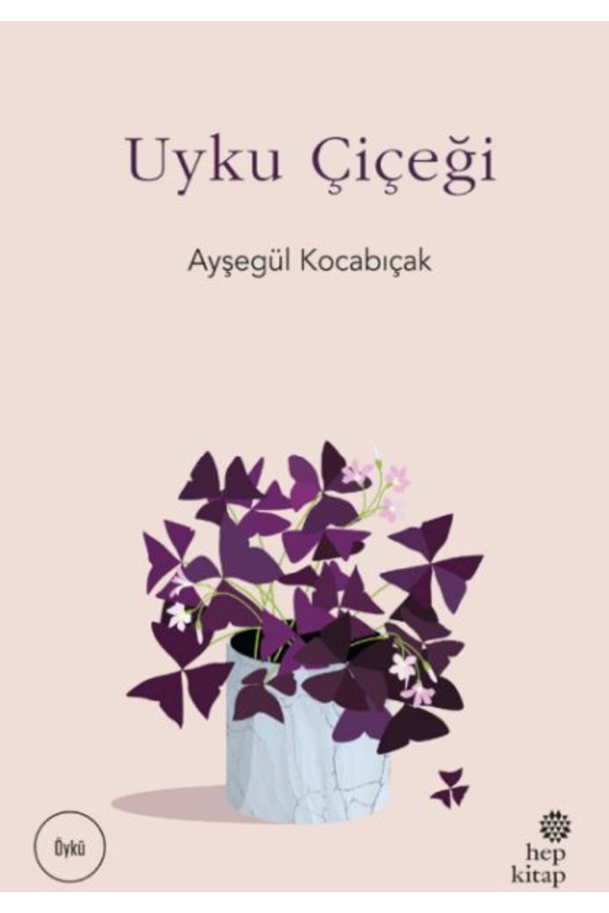 Destek Yayınları Uyku Çiçeği