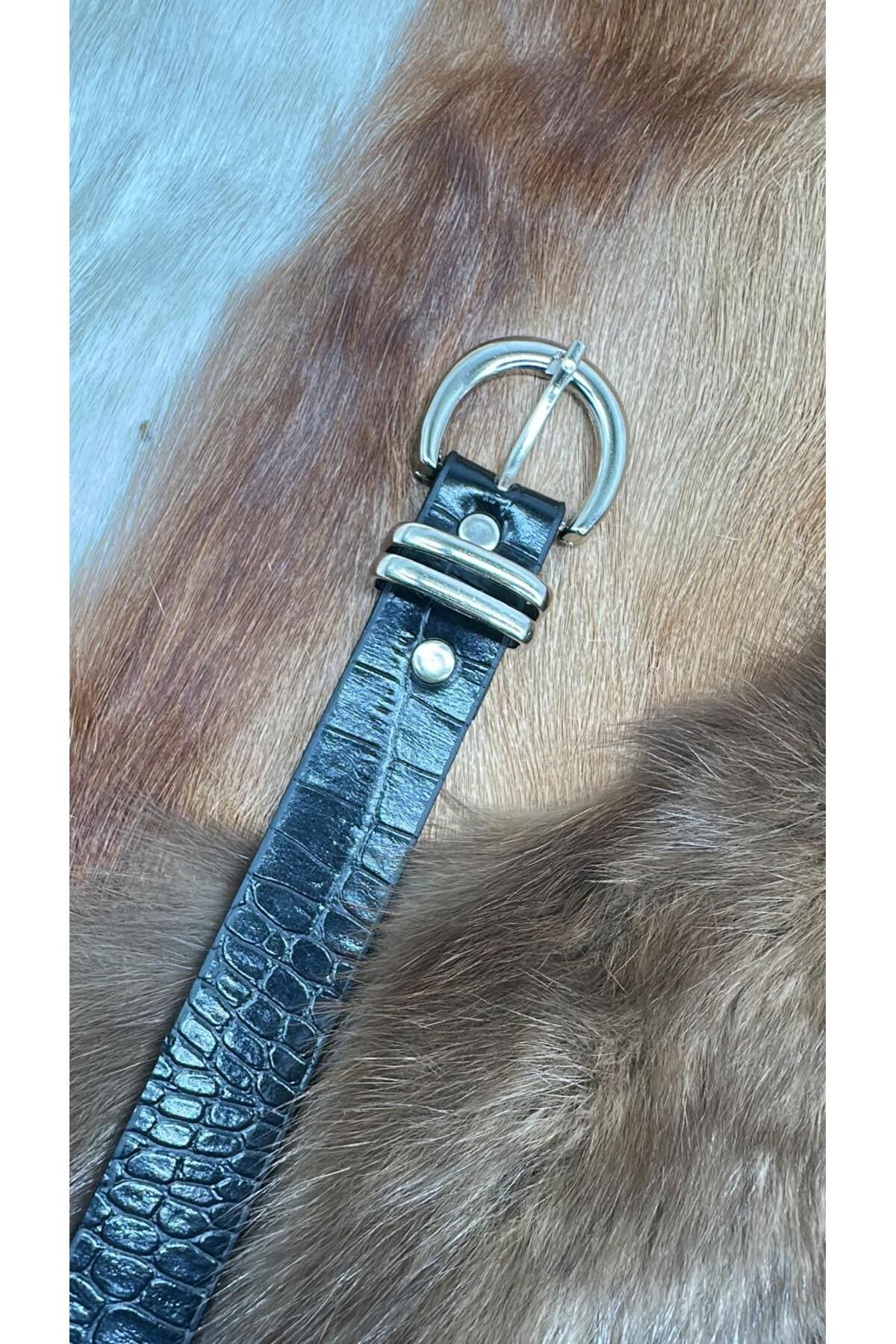 ASLIHAN KEMER Silver Toka Çift Köprülü Gömlek,Ceket,Elbise,Etek Kemeri