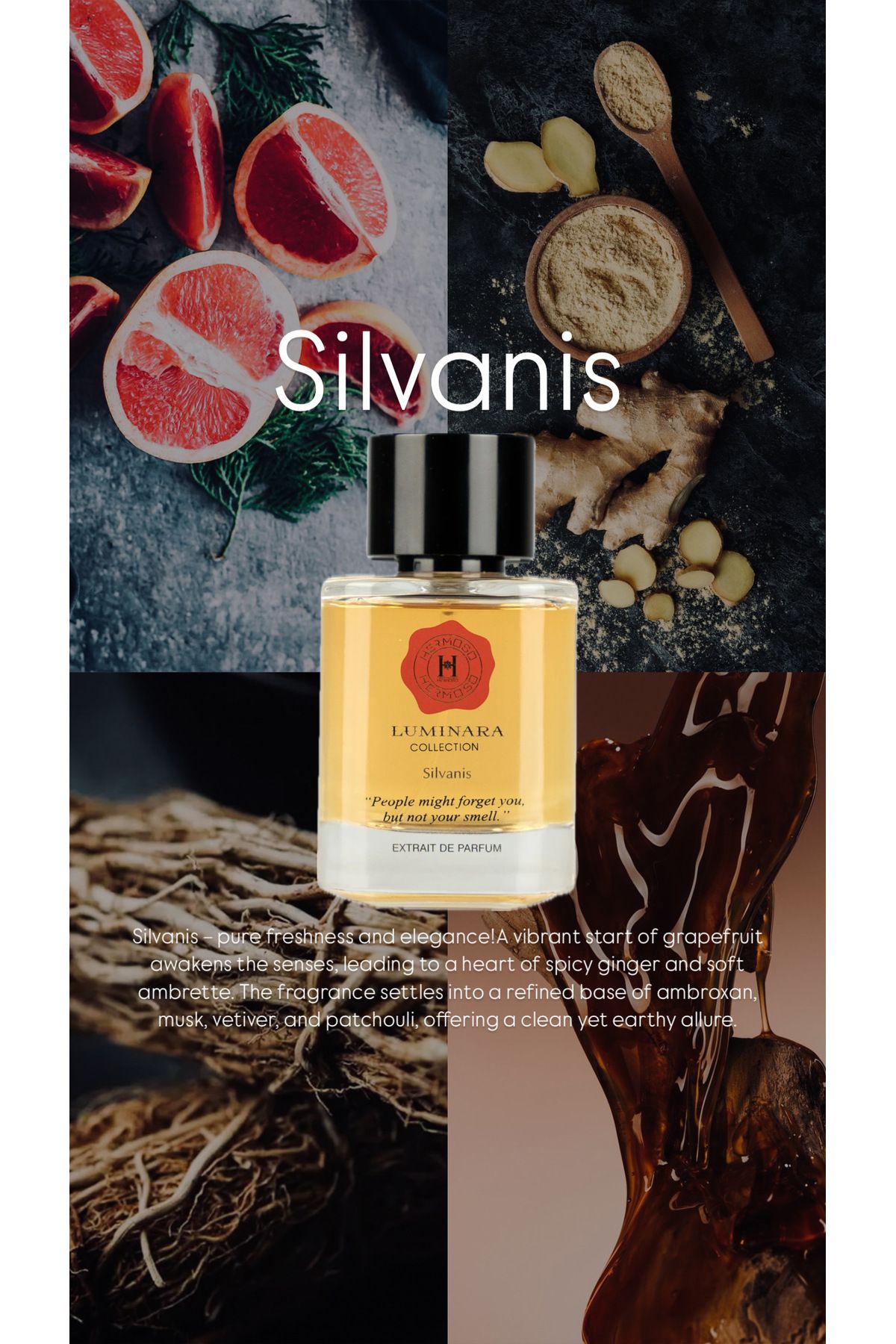 Hermoso-Silvanis Luminara Collection Extrait De Parfum – 100ml 6