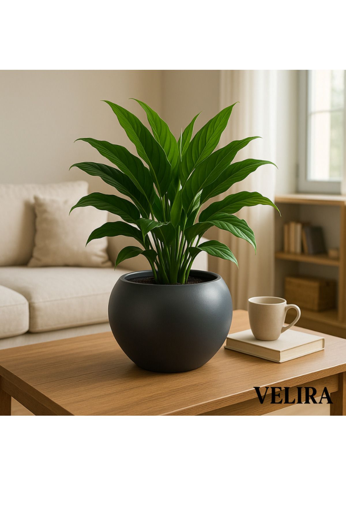 SERİNOVA Küre Saksı Yuvarlak Saksı Modern Dekoratif Plastik Saksı 7,5 Litre