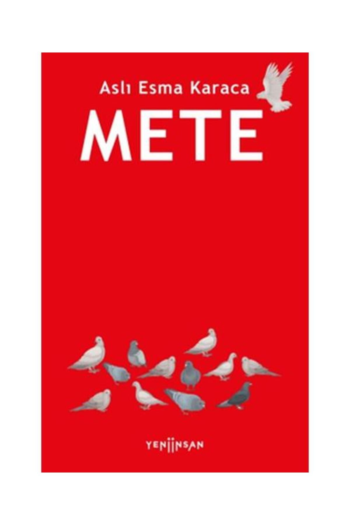 Yeni İnsan Yayınevi Mete / Yeni İnsan Yayınevi / Aslı Esma Karaca
