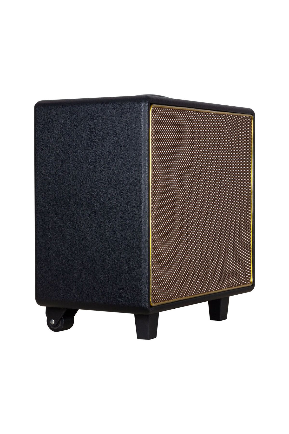POEBGO FAMİLY'S SHILE GT-10 EL MİKROFONLU USB/SD/BT/FM TAŞINABİLİR HOPARLÖR (5162)