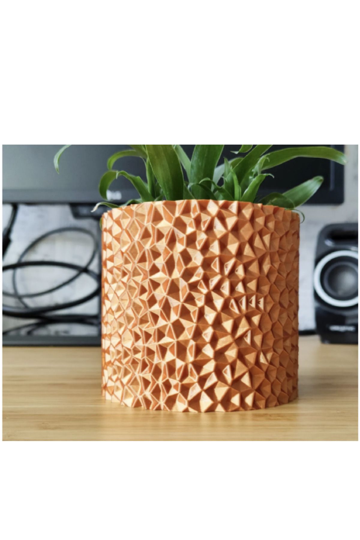 3DAKSESUAR Pirit Voronoi Saksı