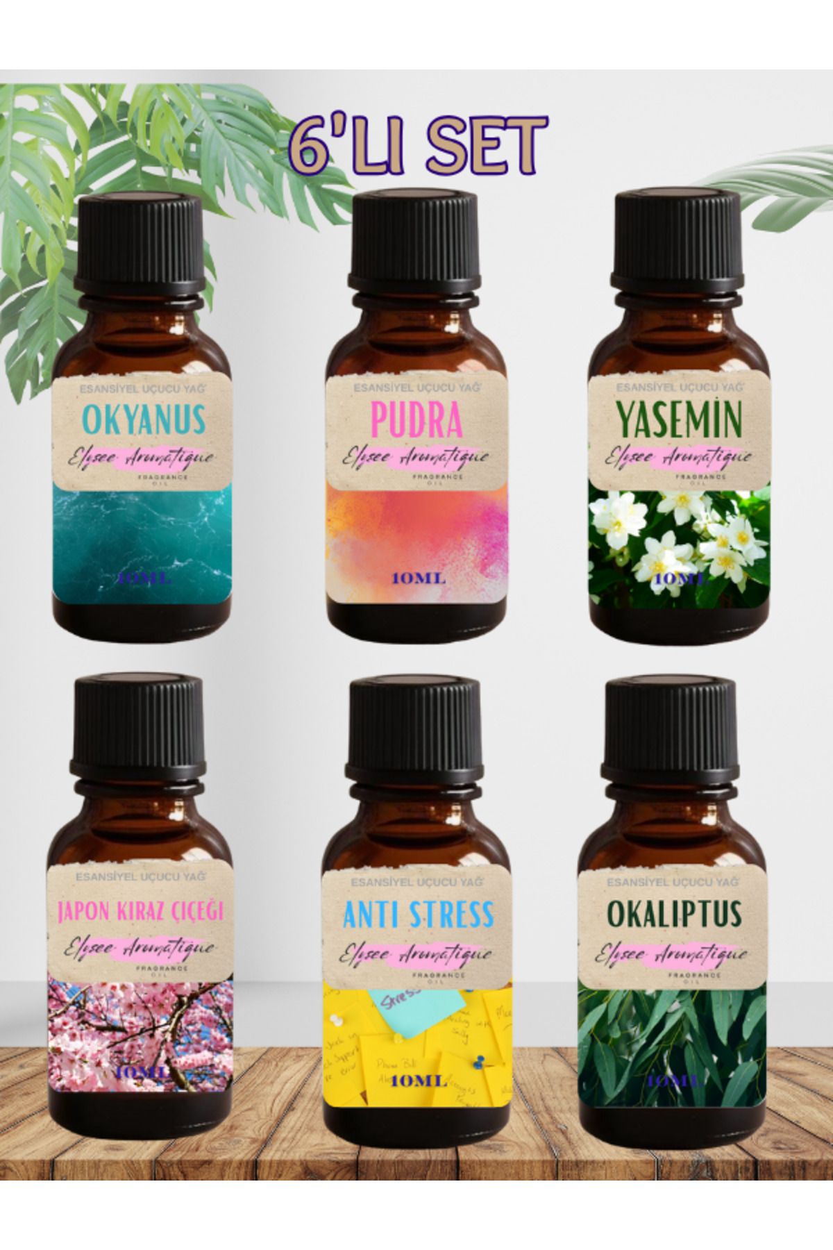Elysee Aromatique 6'lı Set Esansiyel Uçucu Koku Yağı Difüzör Esansı Buhurdanlık Yağı Aromaterapi Yağı