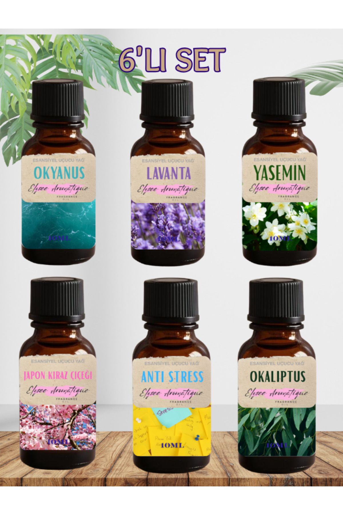 Elysee Aromatique 6'lı Set Esansiyel Uçucu Koku Yağı Difüzör Esansı Buhurdanlık Yağı Aromaterapi Yağı