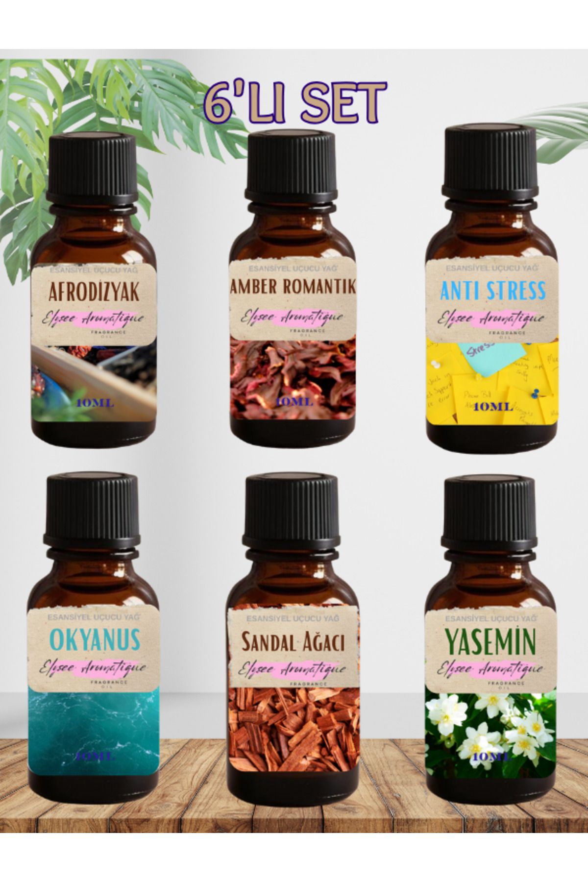 Elysee Aromatique 6'lı Set Esansiyel Uçucu Koku Yağı Difüzör Esansı Buhurdanlık Yağı Aromaterapi Yağı