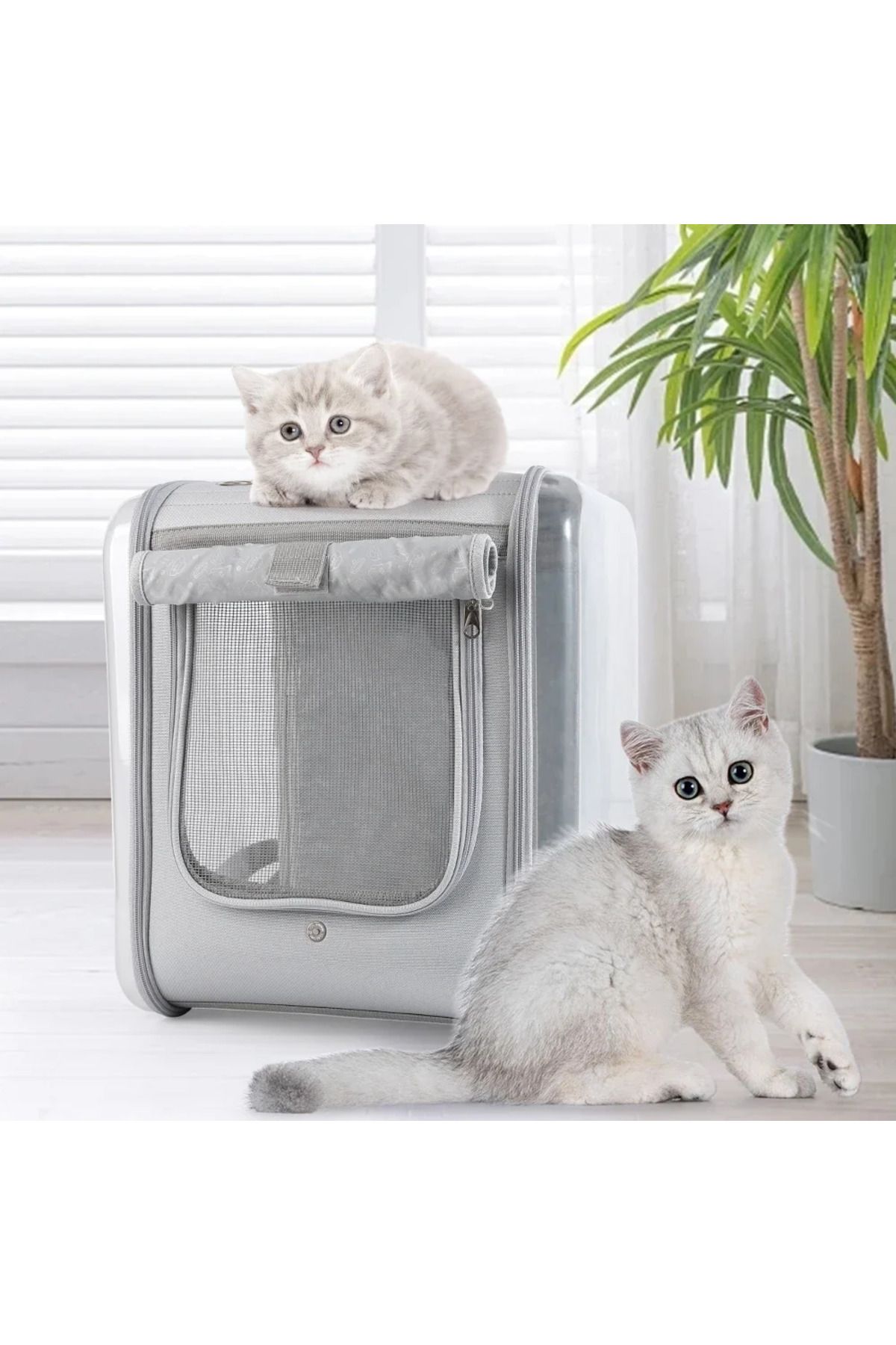 Choice-Double-sided Clear Cat Carrier, Double Sided Transparent Pet Cat Carrier, Ventilated Design For Carr 1