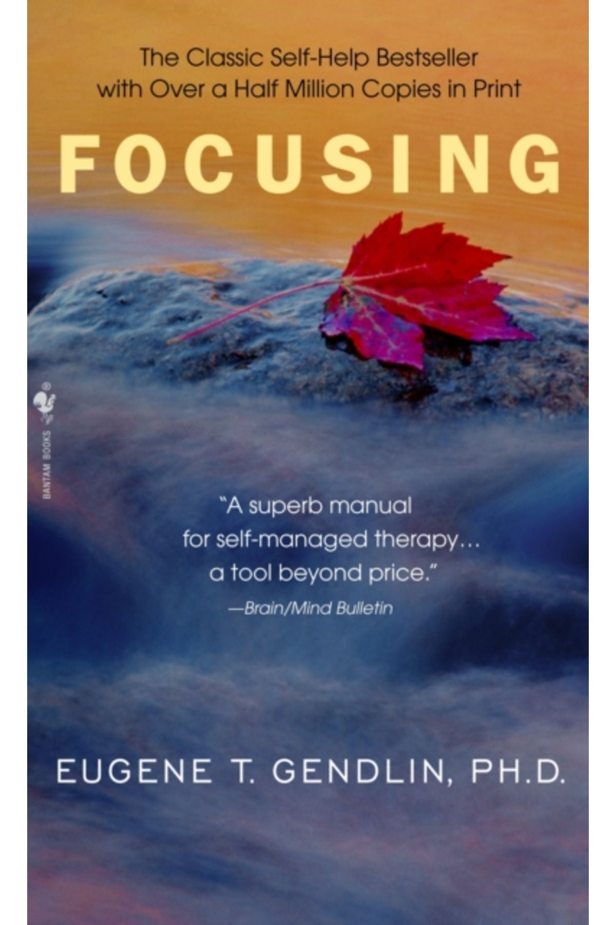 Bantam Books Focusing