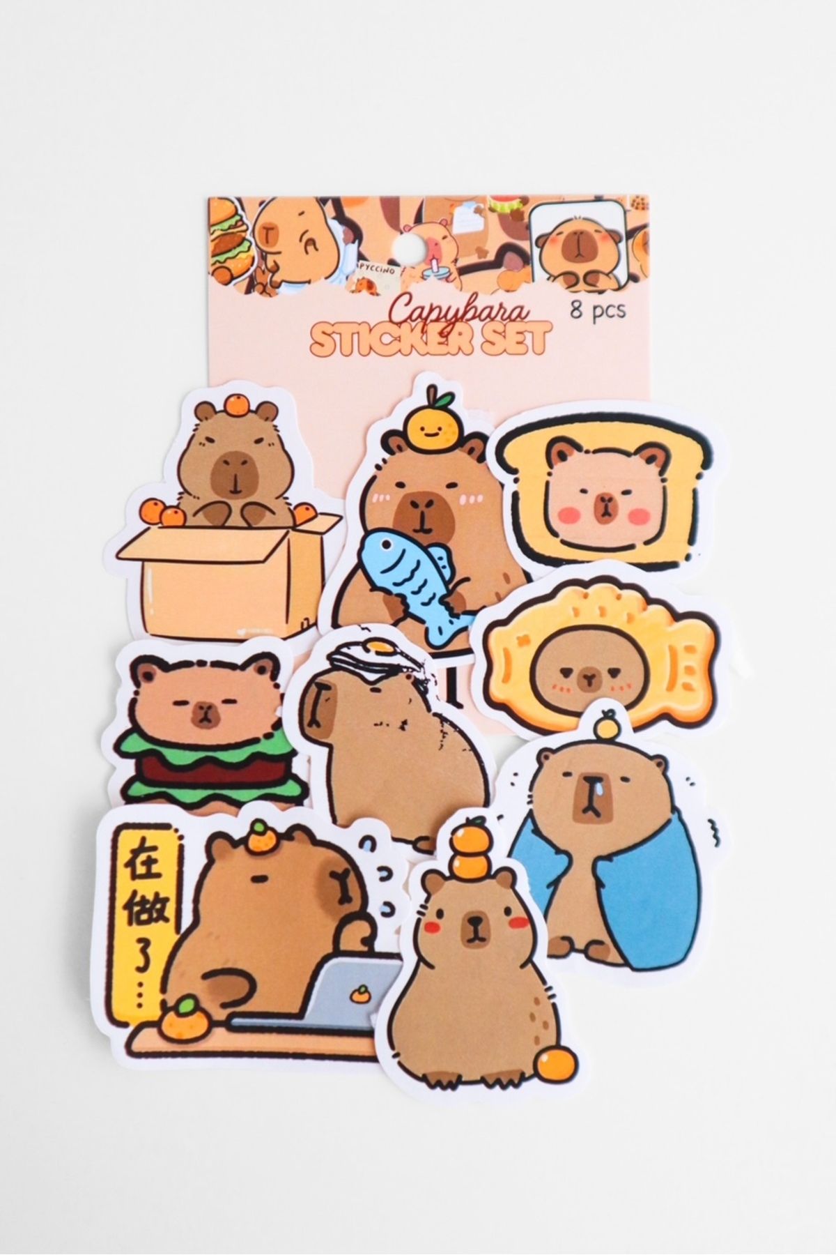 EFBUTİK Capybara 8'li Sticker Set