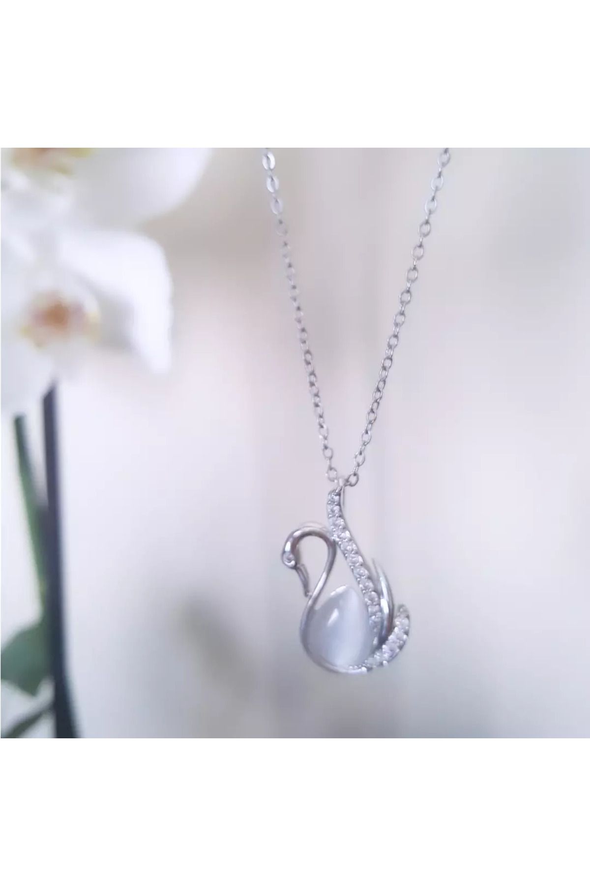 Ma Passion Beyaz Taşlı Kuğu Motif Silver Paslanmaz Çelik Kolye