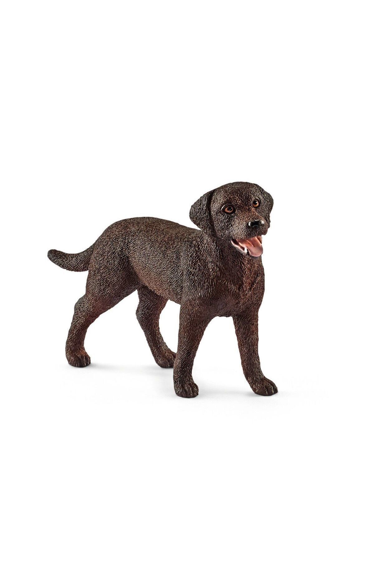 Aymir Ticaret 13834 Schleich - Dişi Labrador Retriever +3 yaş
