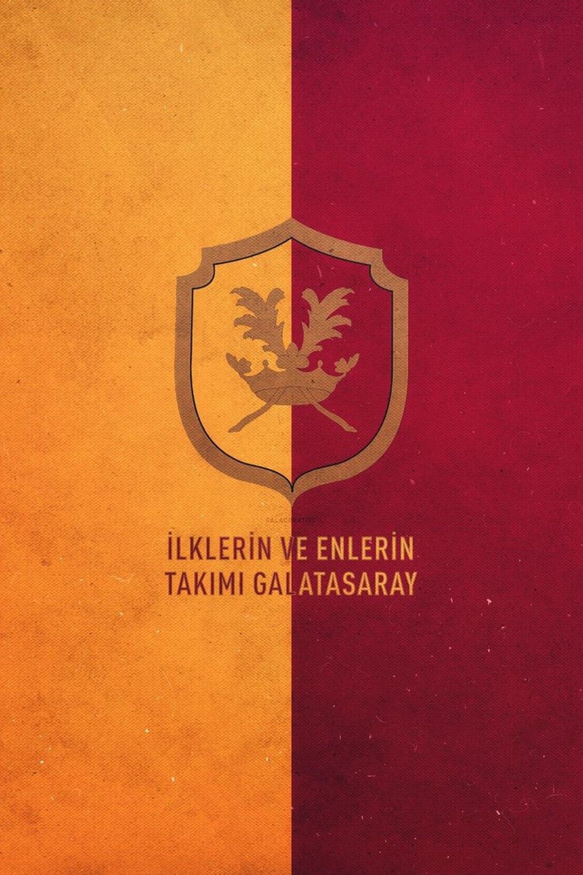 Organik Yolda İlklerin ve Enlerin Takımı GS, Çift Taraflı Bantlı, Tüm Zeminlere Yapışır, (15 x 21 cm)