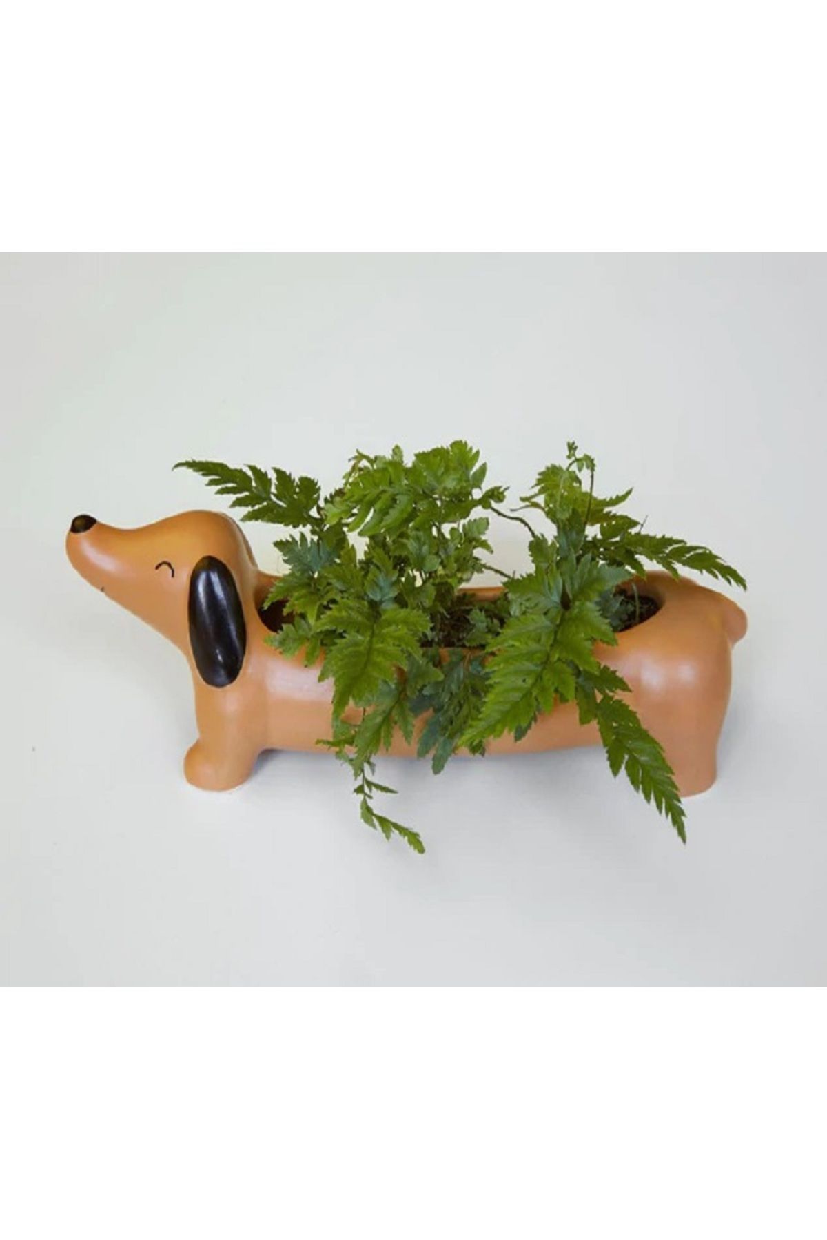 Kikkerland Saksı-Köpek