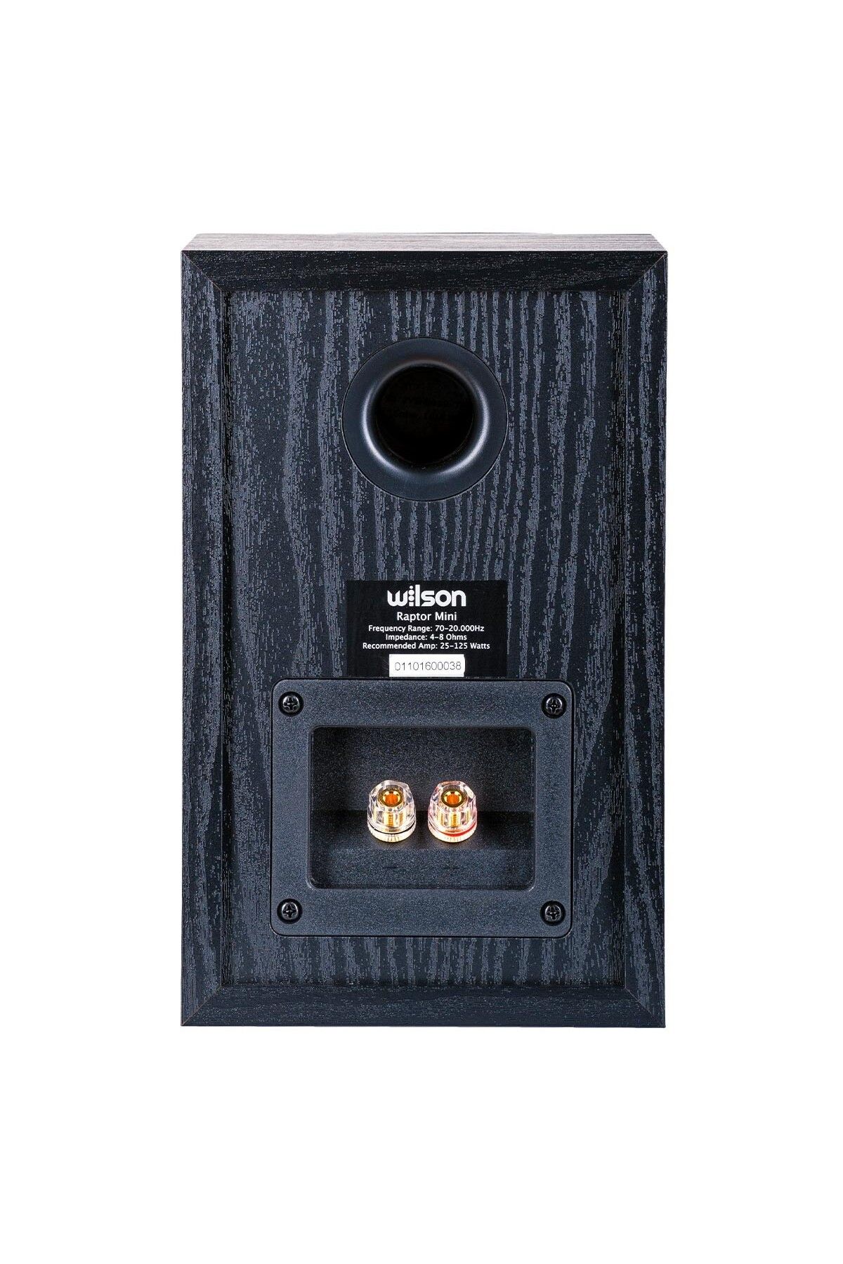 Audiosat-Wilson Raptor Mini Home Audio System + Bluetooth Receiver 7