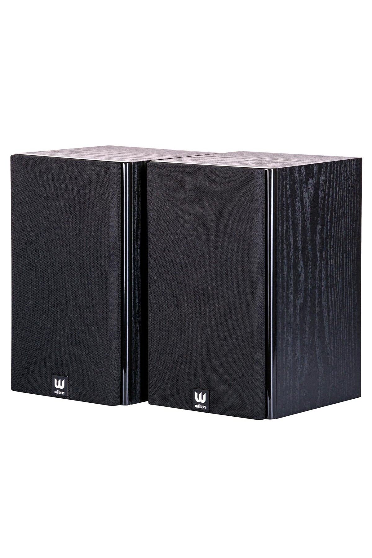 Audiosat-Wilson Raptor Mini Home Audio System + Bluetooth Receiver 5