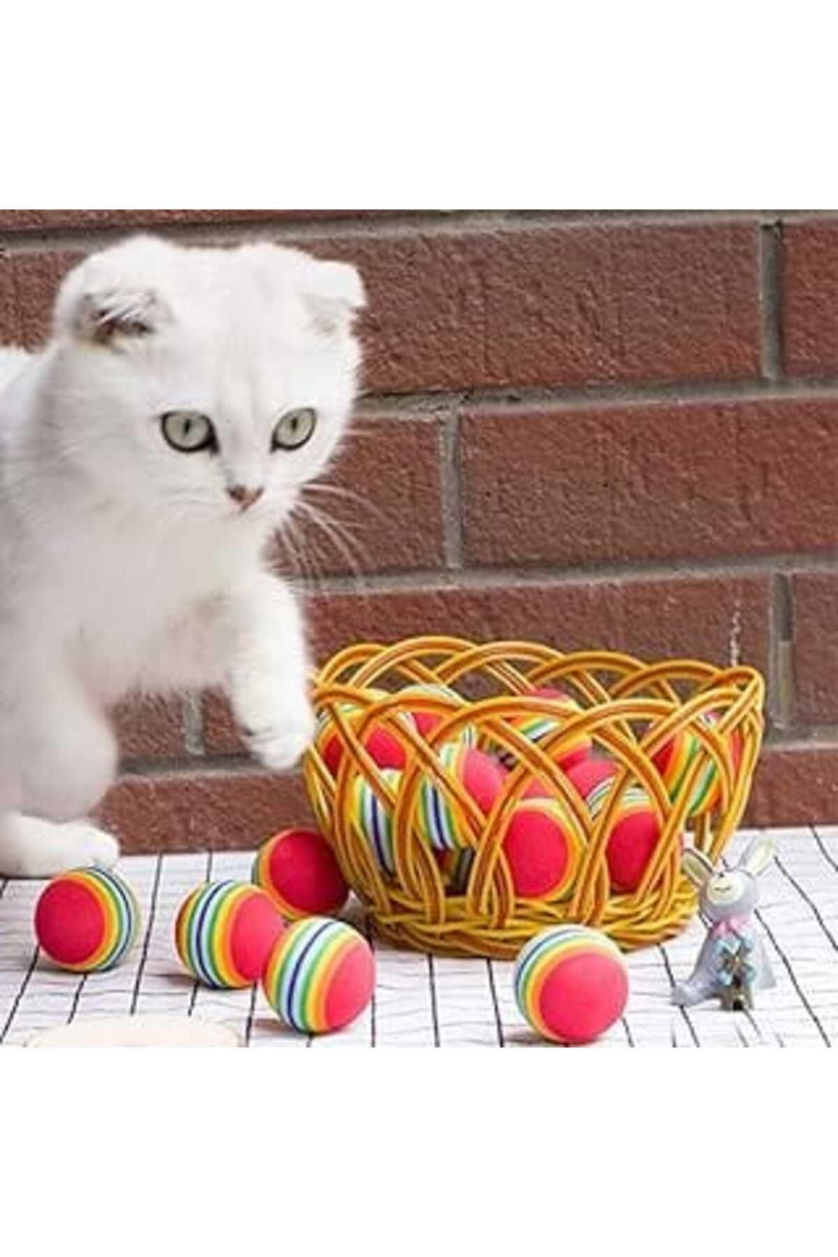 Roses Store Okavango Sünger Kedi Köpek Çiğneme Ve Oyun Topu 4 Adet