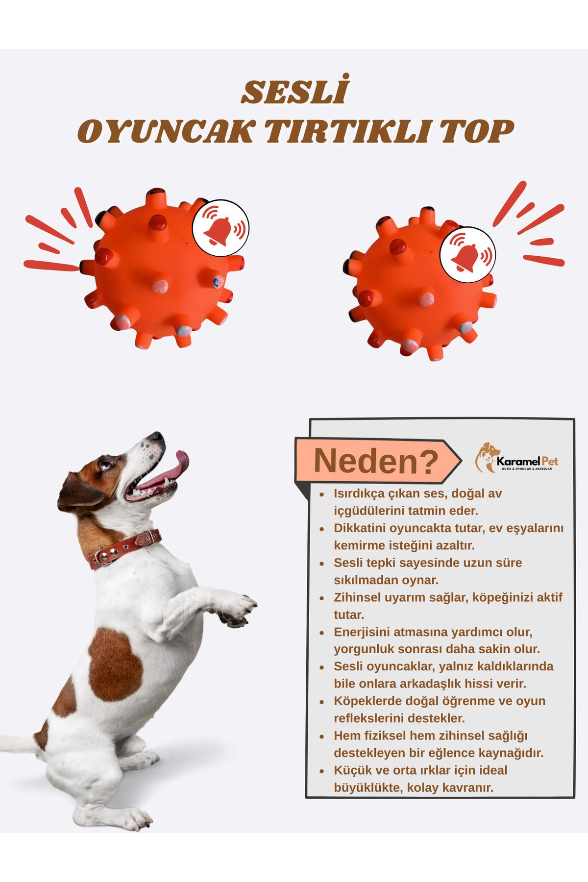 Cans Kedi Köpek Evcil Hayvan Sesli Oyuncak - Diş Kaşıyıcı, Stres Azaltıcı ve Dayanıklı Tasarım