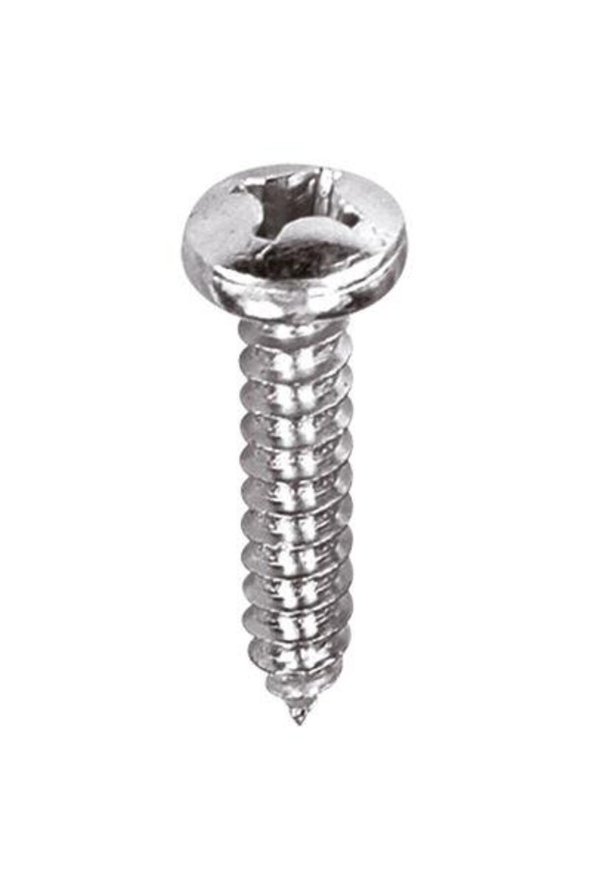 ÇETİN KRAFT Çetin Kraft DIN 7981 YSB A4 Sivri Uçlu Tam Diş Sac Vidası 4,8x70 100 Adet