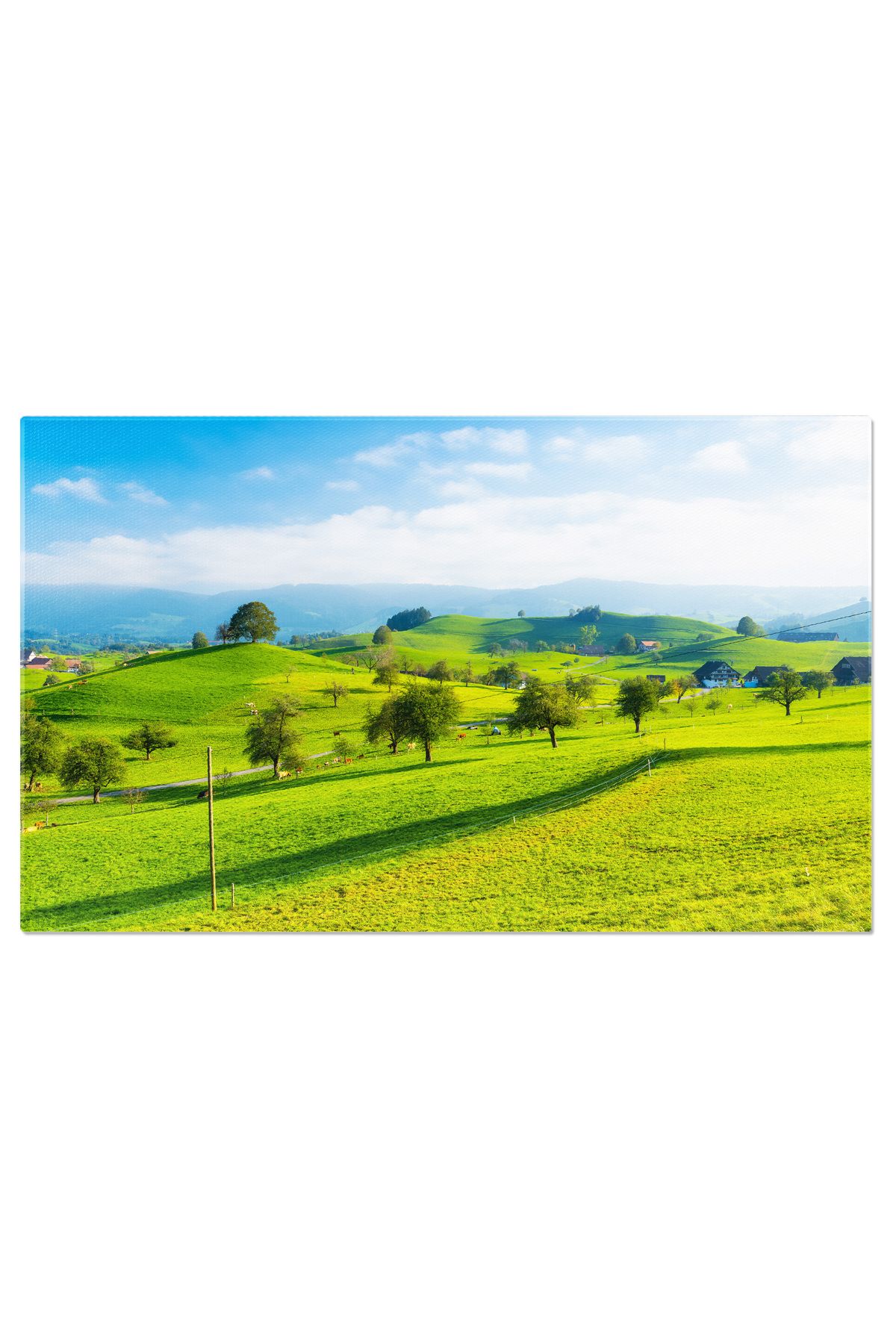 StoryGift Romania Tablou Canvas Arbore Pe Varful Dealului, Vedere Impotriva Fundalului, Peisaj, Vara, Munte 4774 - 40 x 25