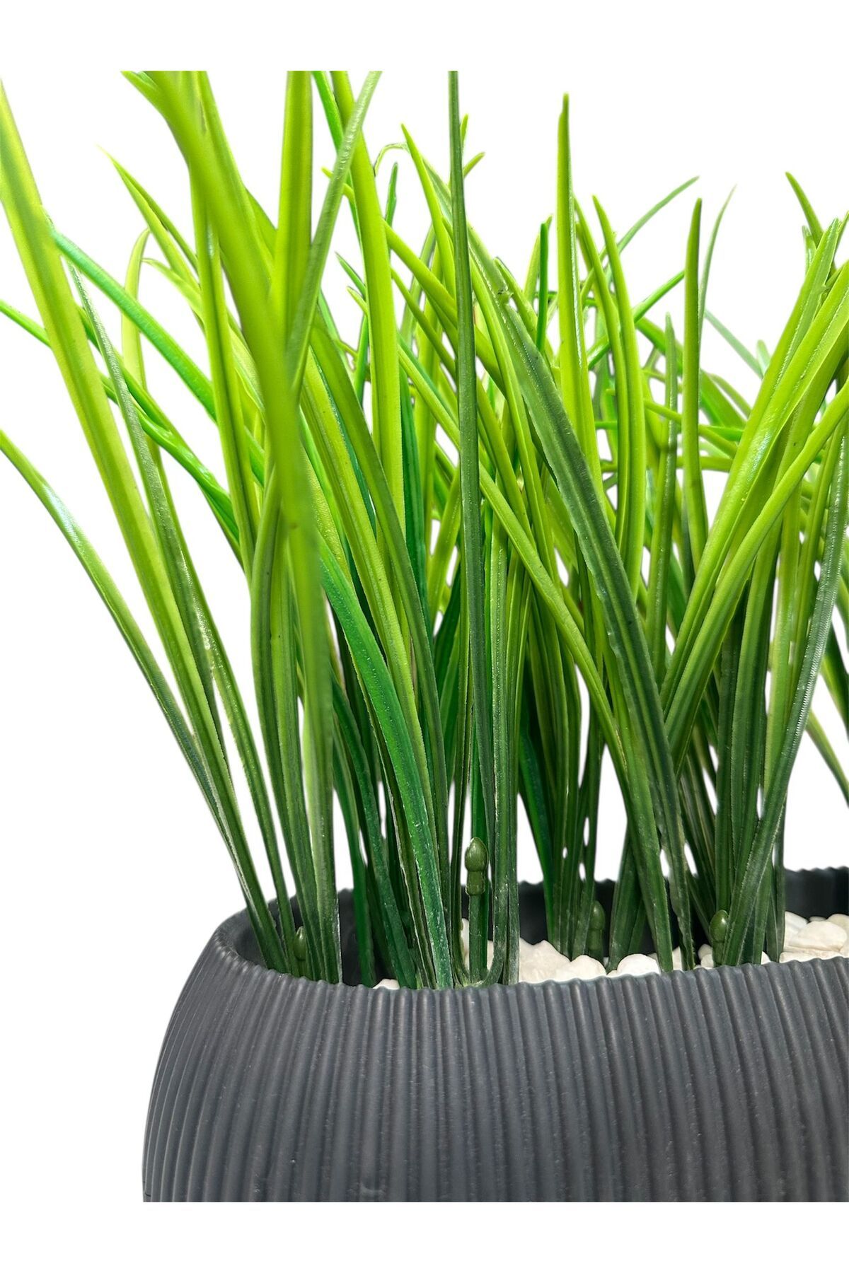 Lilac Home Urban Green | Antrasit Mercan Saksıda Yeşil Çim